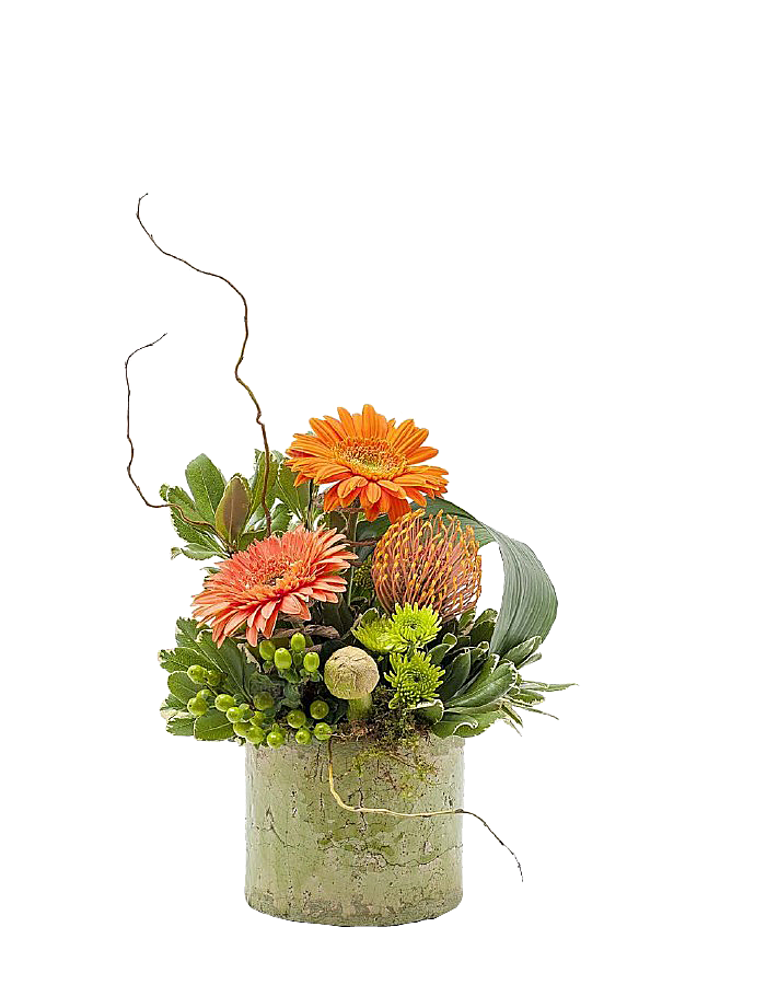 花艺软装北欧绿植插花花卉盆栽PNG素材