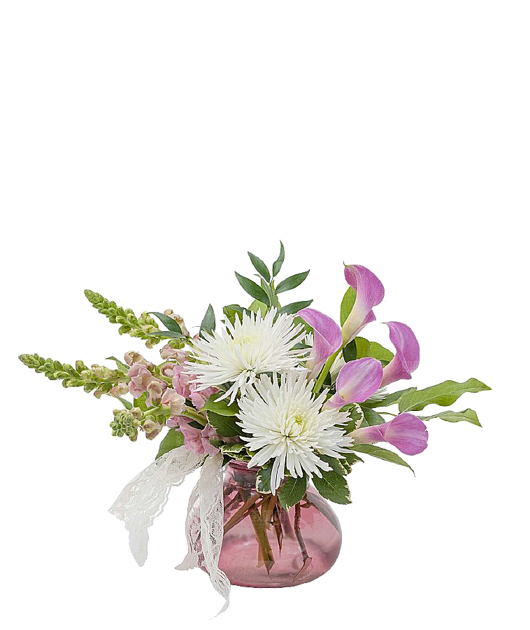 花艺软装北欧绿植插花花卉盆栽PNG素材