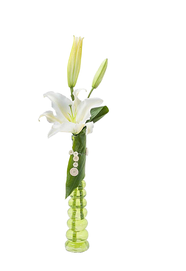 花艺软装北欧绿植插花花卉盆栽PNG素材