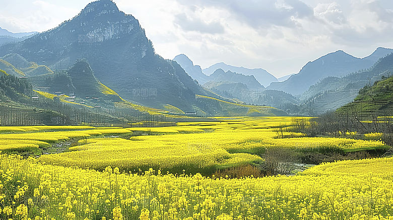 花海唯美浪漫园艺花田鲜花季节田园自然风景