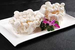 白玉菇美食高清摄影图