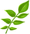 游戏常用社交经营类农场餐厅蔬菜水果