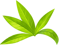 游戏常用社交经营类农场餐厅蔬菜水果