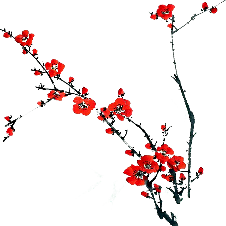 梅花树枝花枝png素材
