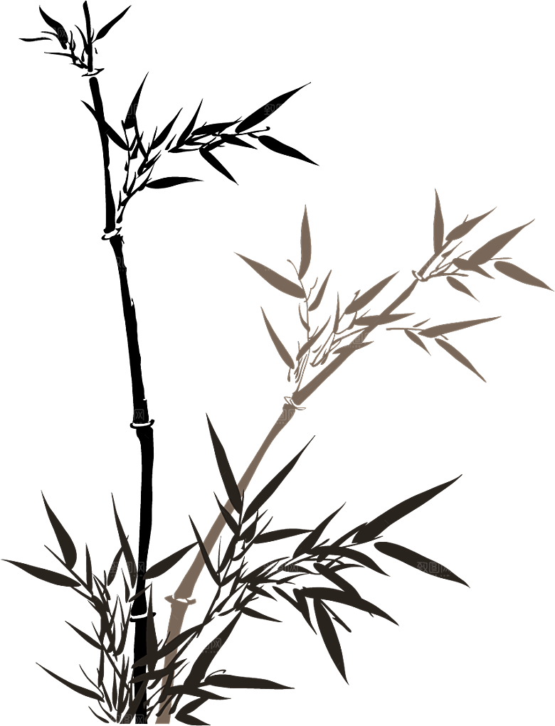 梅花树枝花枝png素材