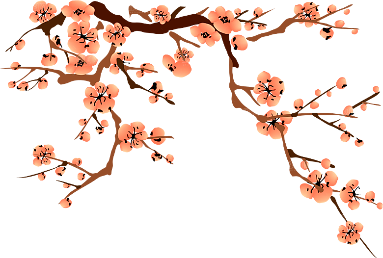 梅花树枝花枝png素材