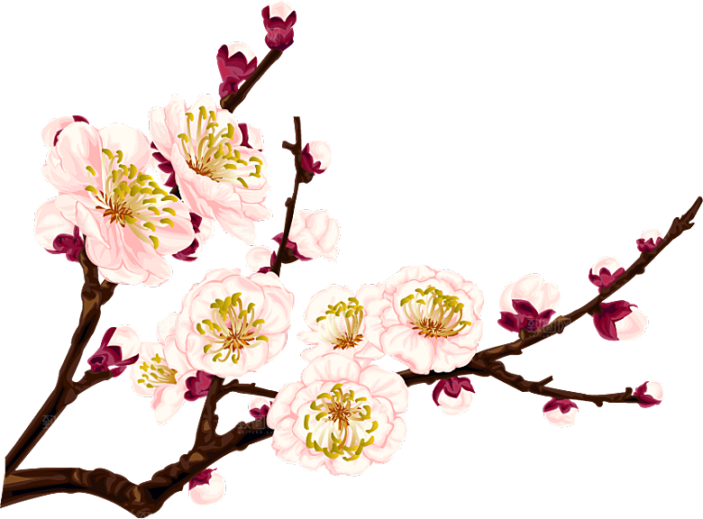 手绘梅花花枝png素材