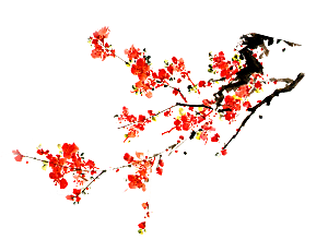 手绘梅花花枝png素材