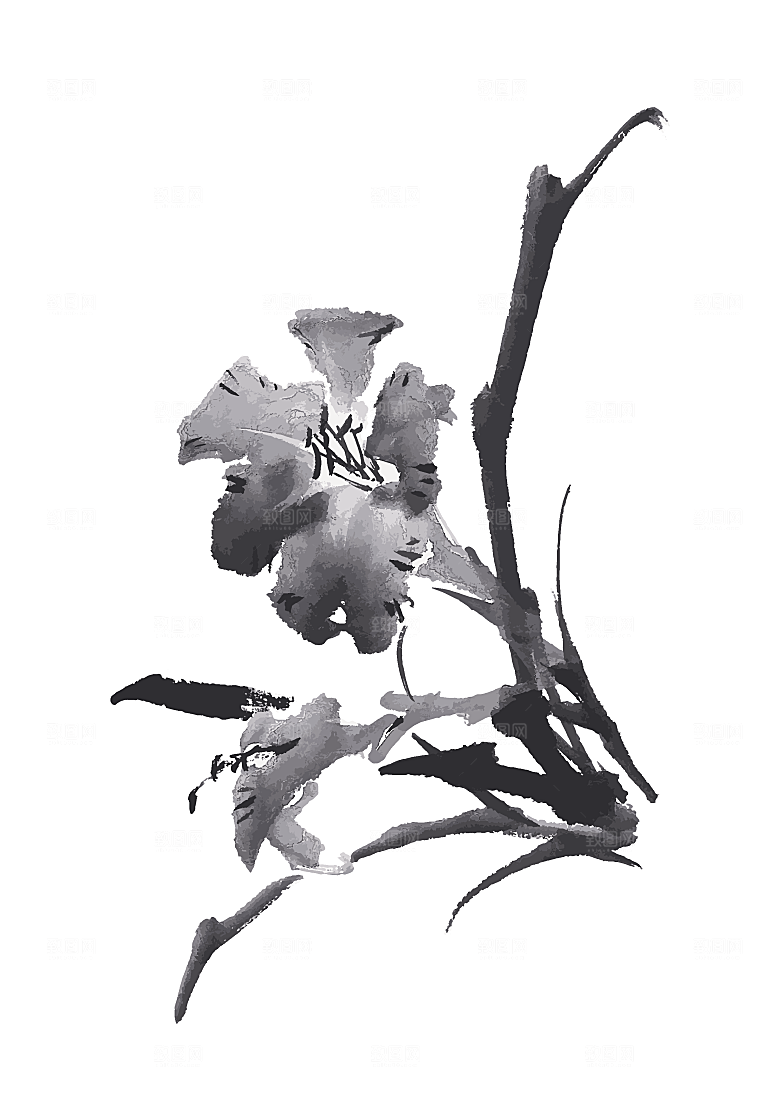 鲜花矢量花朵素材