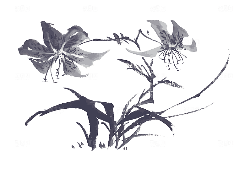 中国风手绘花卉水墨鲜花素材