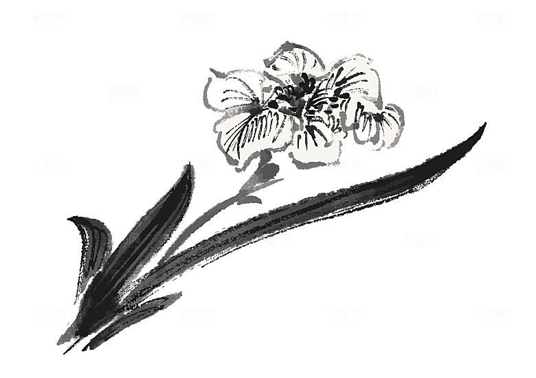 中国风手绘花卉水墨鲜花素材