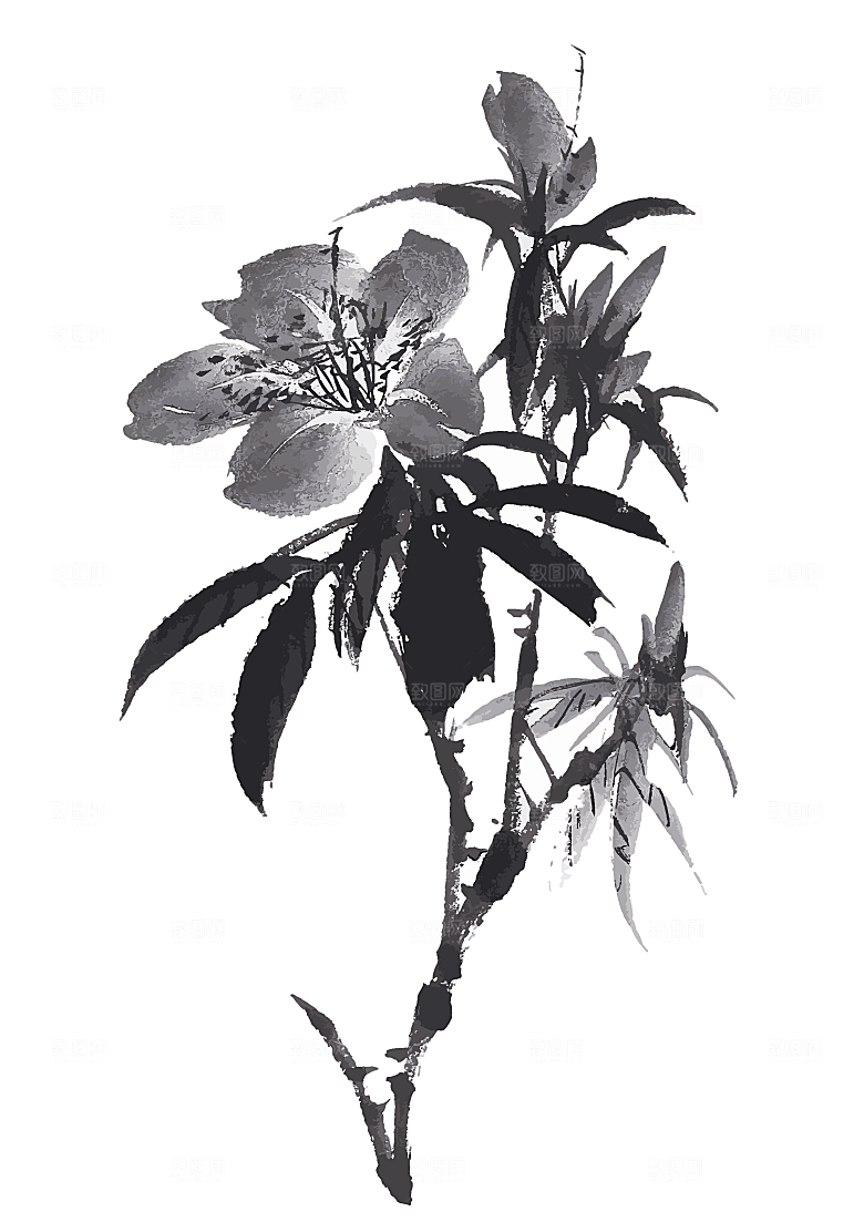 中国风手绘花卉水墨鲜花素材