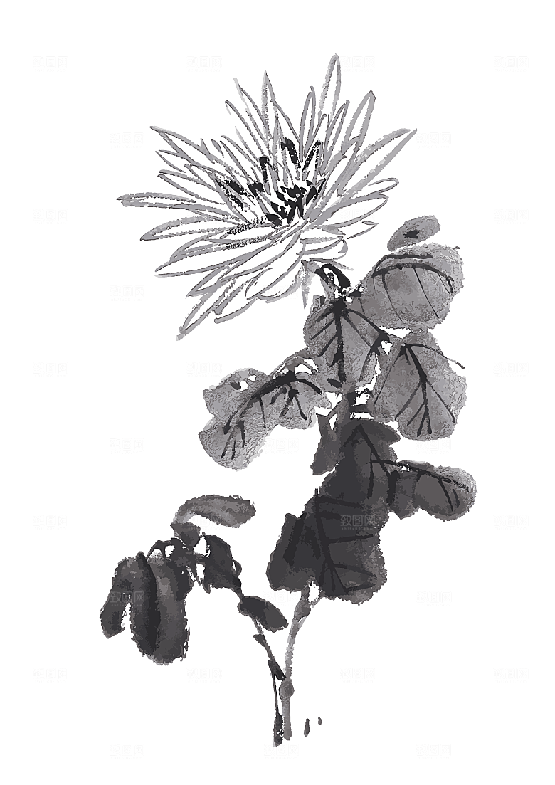 中国风手绘花卉水墨鲜花素材