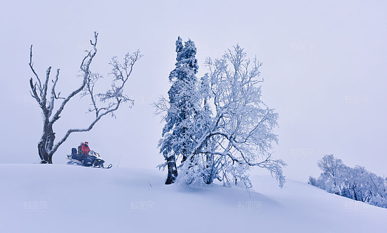 吉林长白山雪岭国家森林公园东北冰雪世界骑