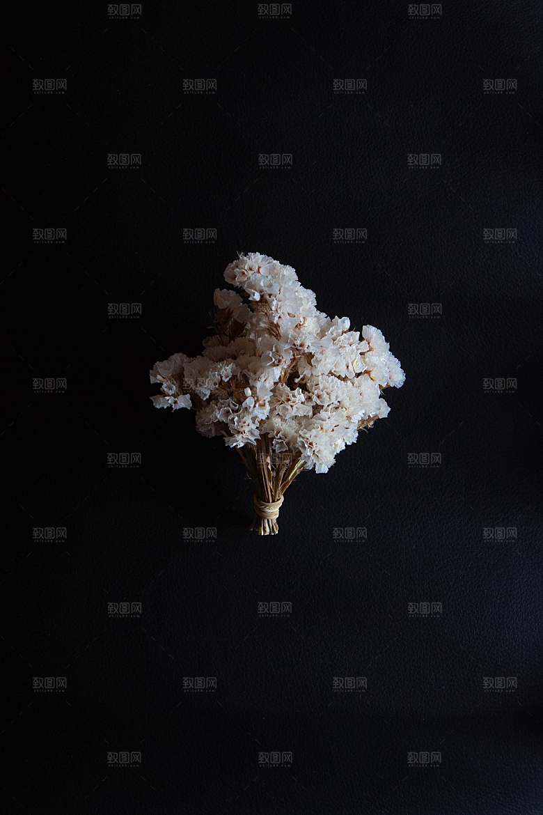 春日鲜花开花大自然摄影图