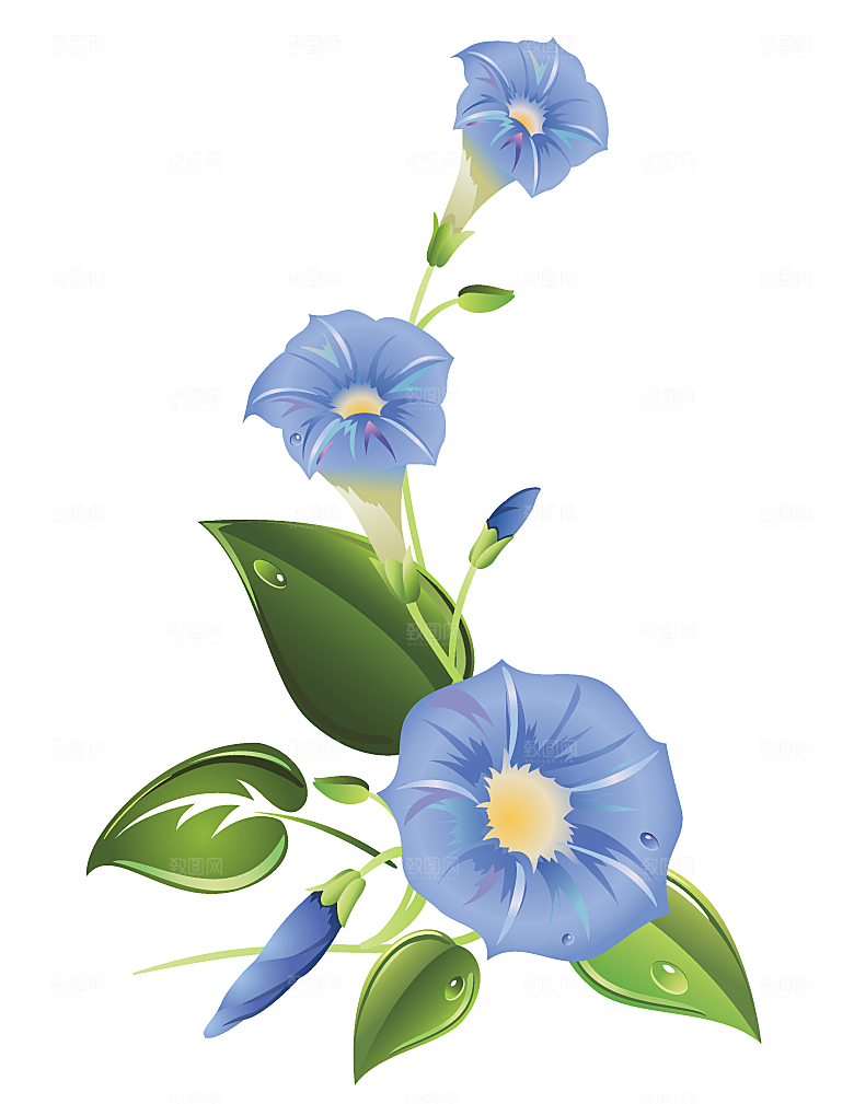矢量鲜花花束花朵素材