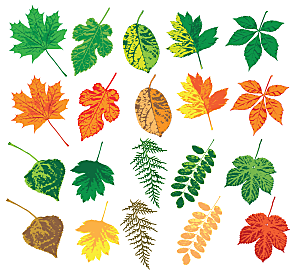 矢量树叶叶子手绘卡通素材
