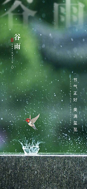 春日节气谷雨彩色创意海报