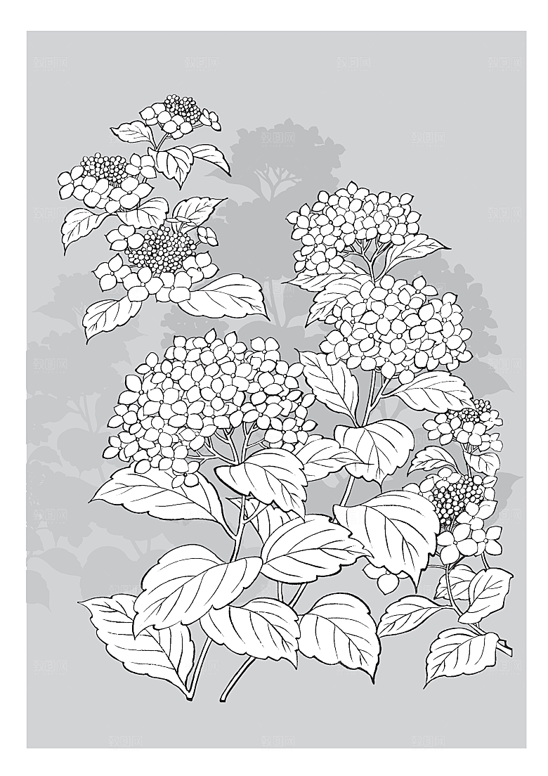 矢量线条手绘鲜花素材