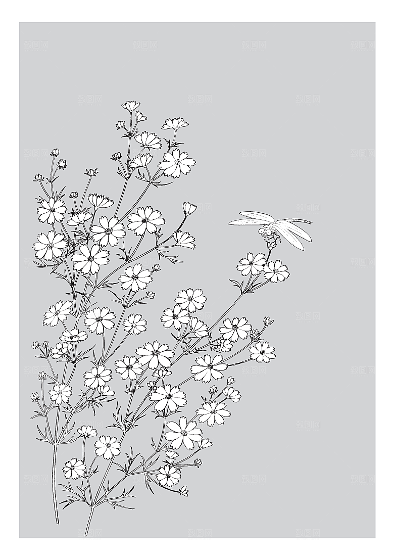 矢量线条手绘鲜花素材