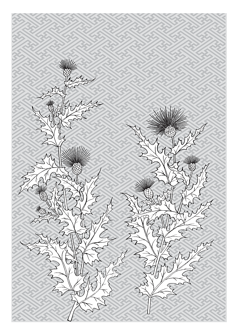 矢量鲜花日系线条花朵