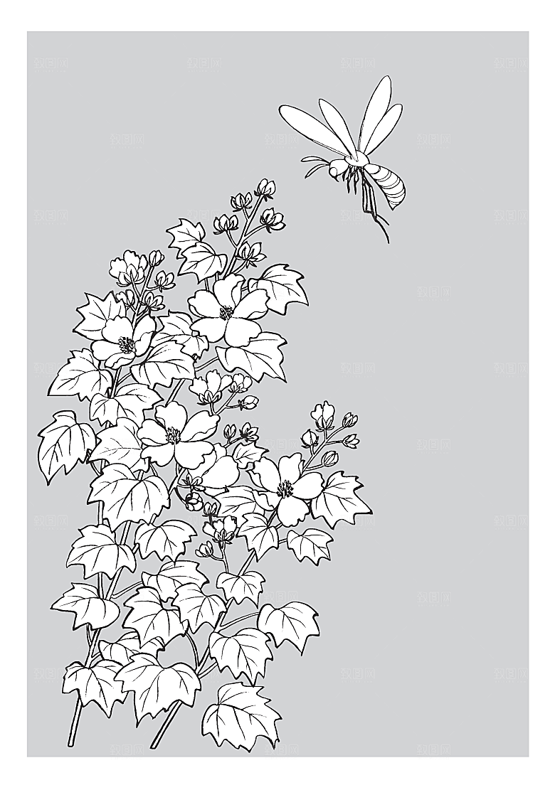 矢量鲜花日系线条花朵