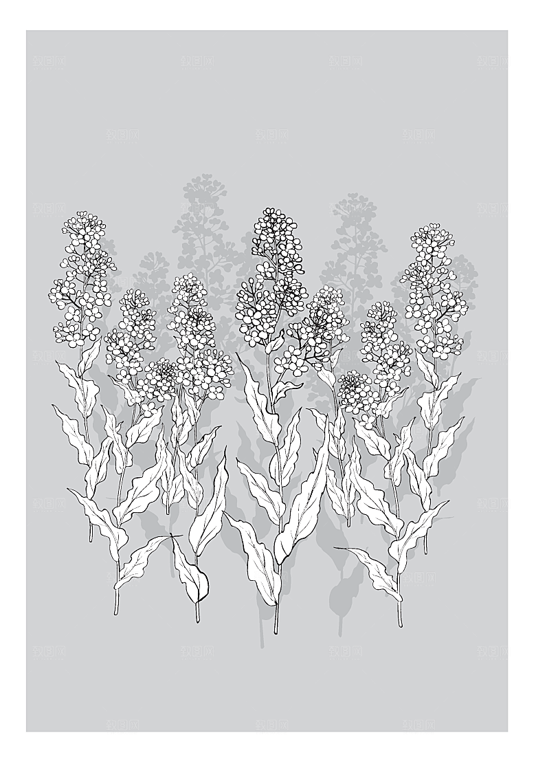 矢量鲜花花朵鲜花素材