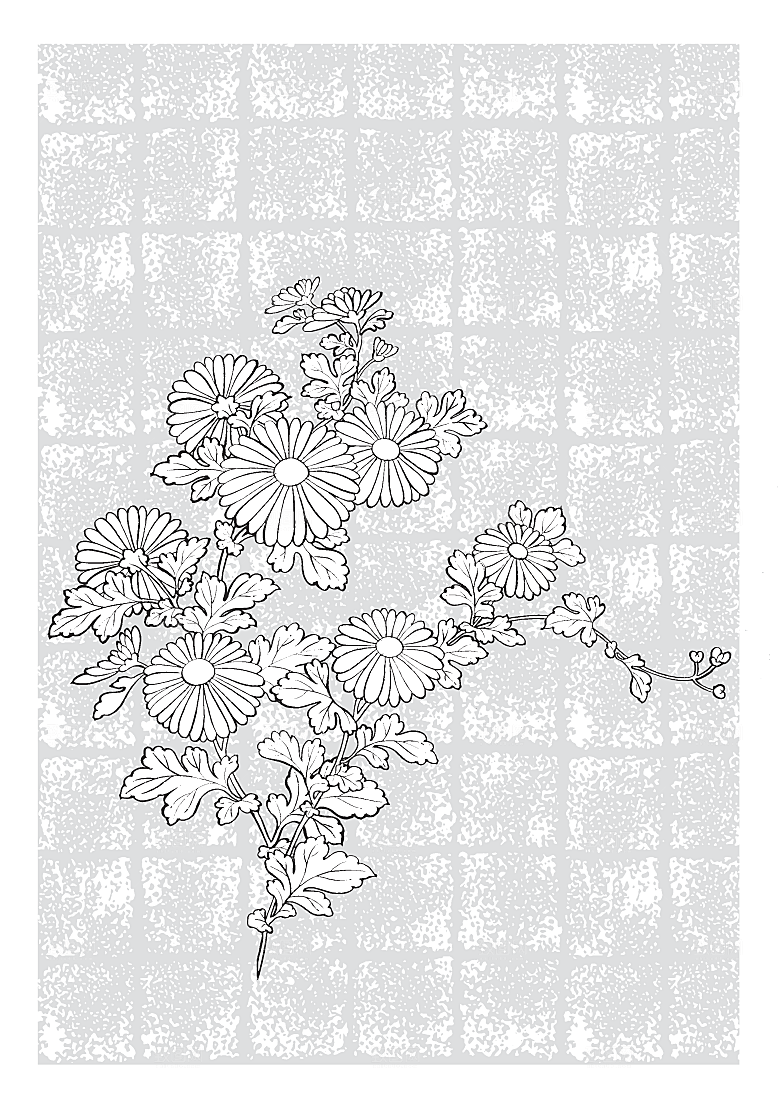 矢量鲜花花朵鲜花素材