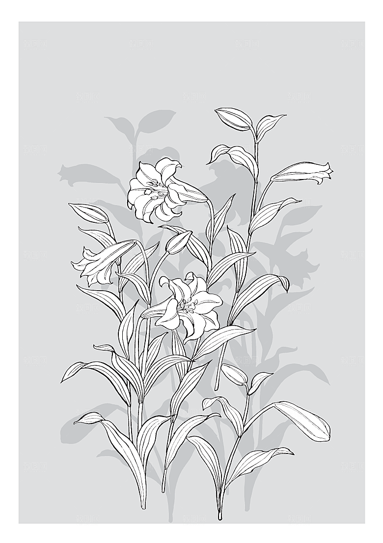 矢量线条鲜花花卉日系素材