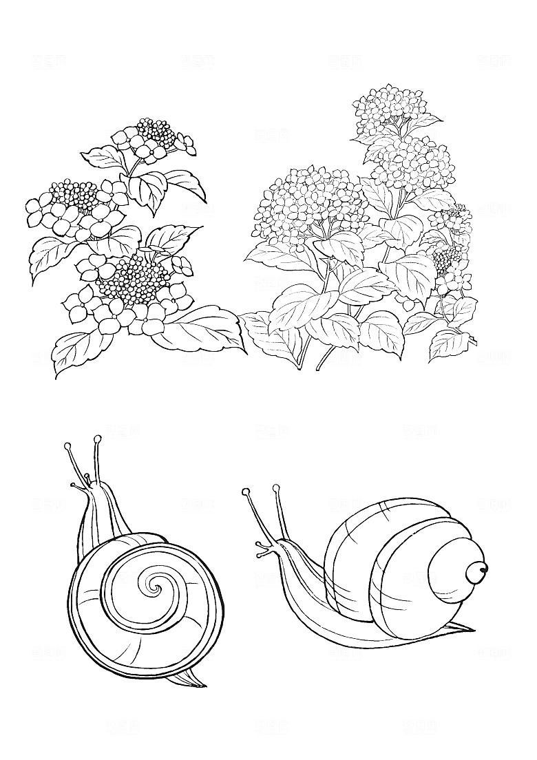 矢量线条鲜花花卉日系素材