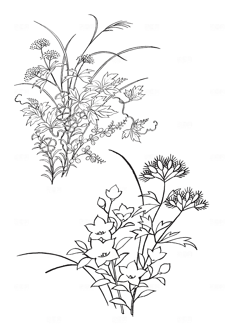 矢量线条鲜花花卉日系素材