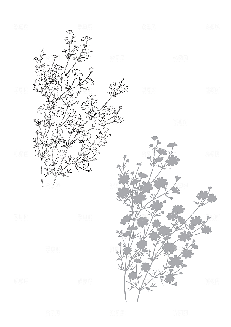 矢量线条鲜花花卉日系素材