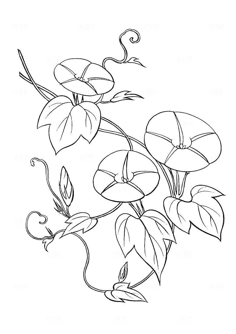 矢量线条鲜花花卉日系素材