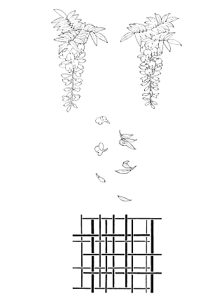 矢量鲜花花朵花卉素材