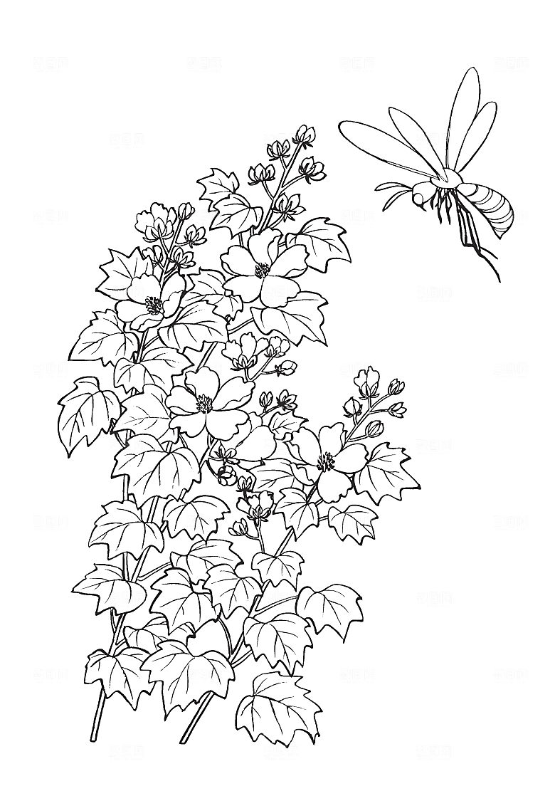 矢量鲜花花朵花卉素材