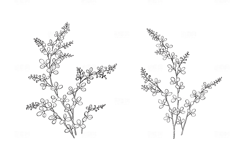 矢量鲜花花朵花卉素材