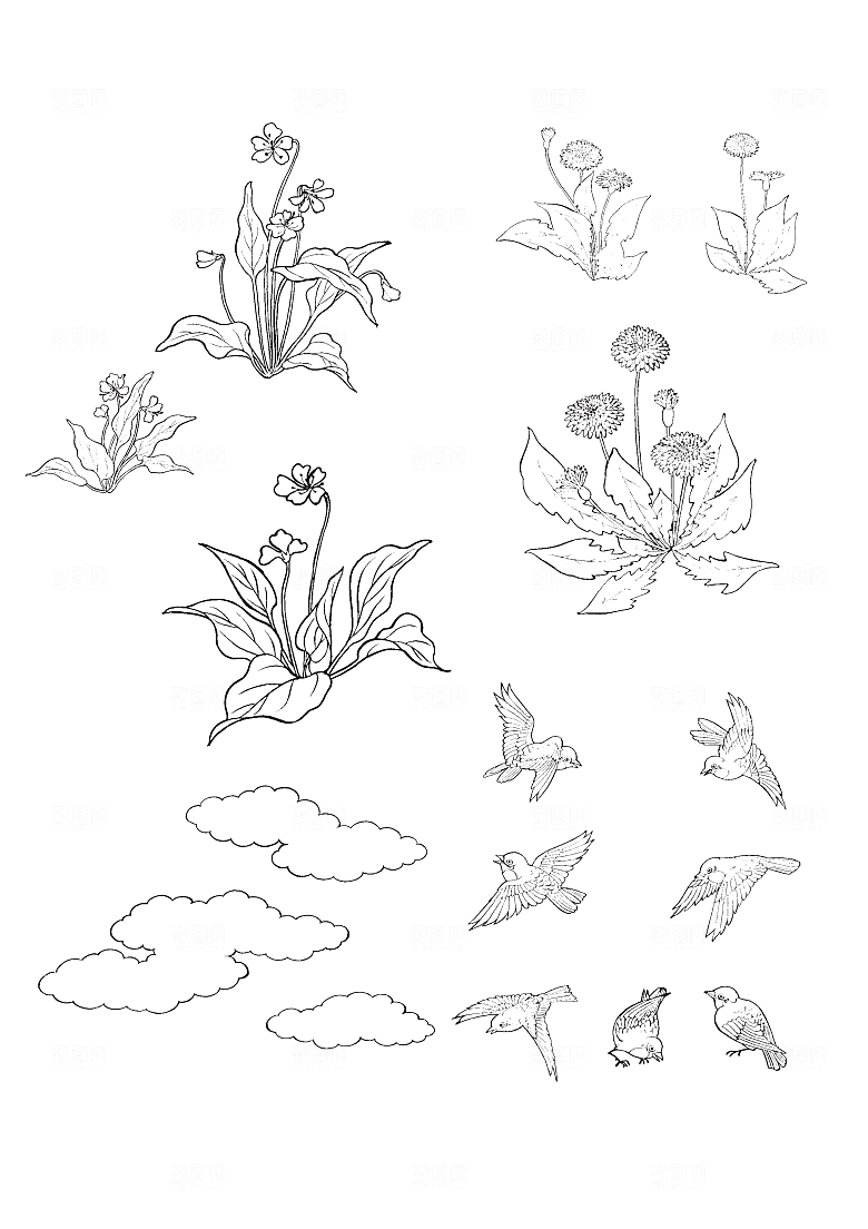 矢量鲜花花朵花卉素材