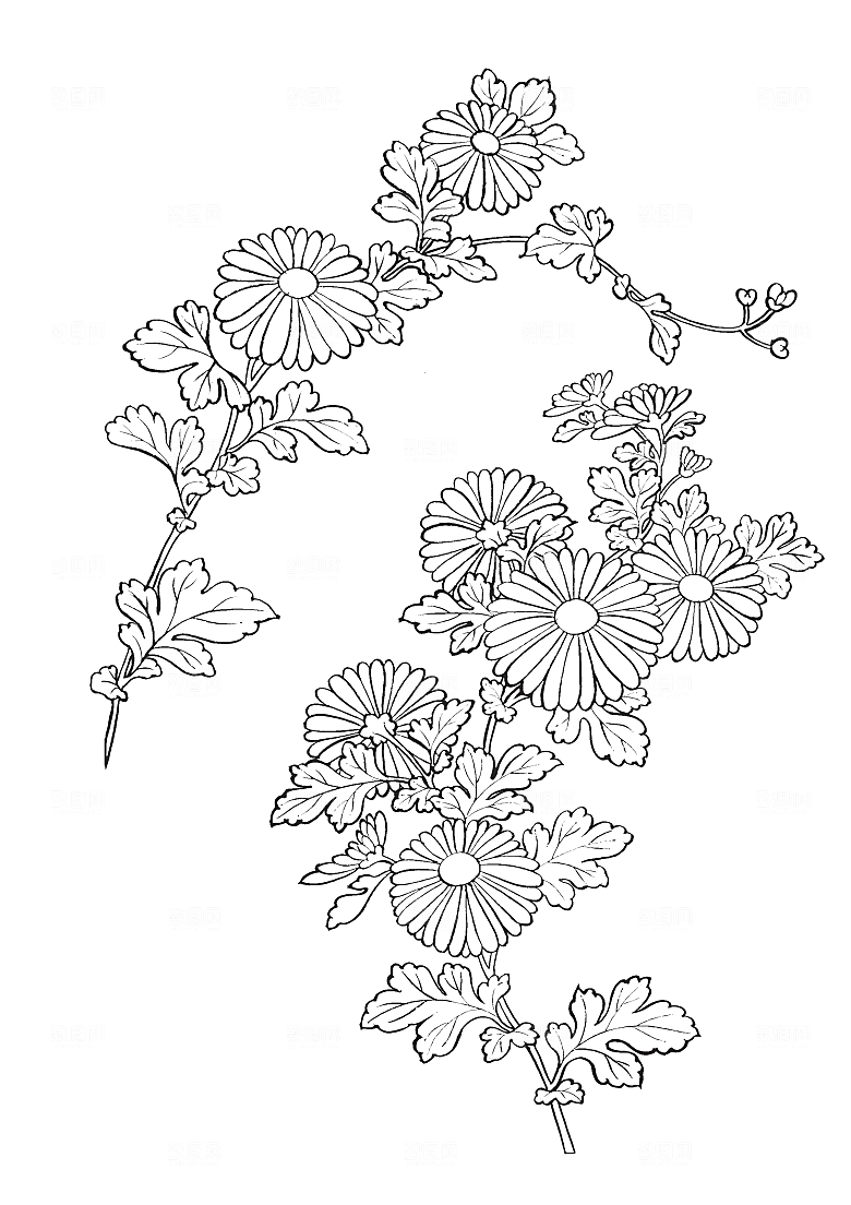 矢量线条花朵日系花卉