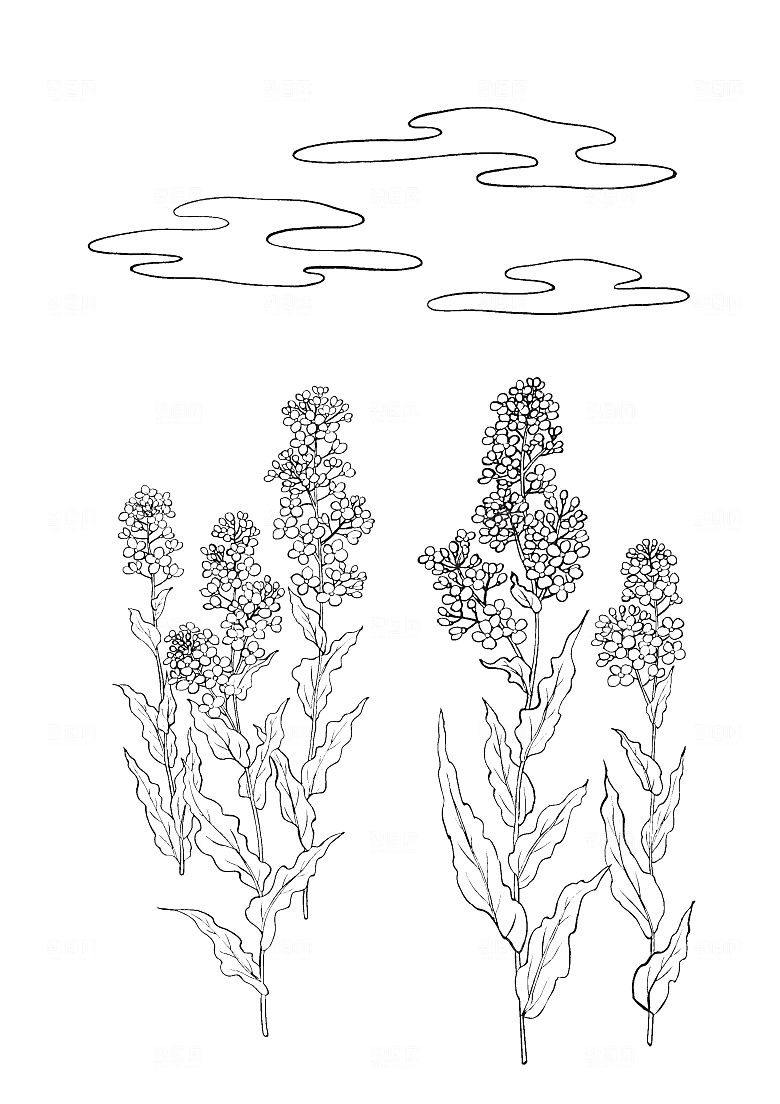 矢量线条花朵日系花卉