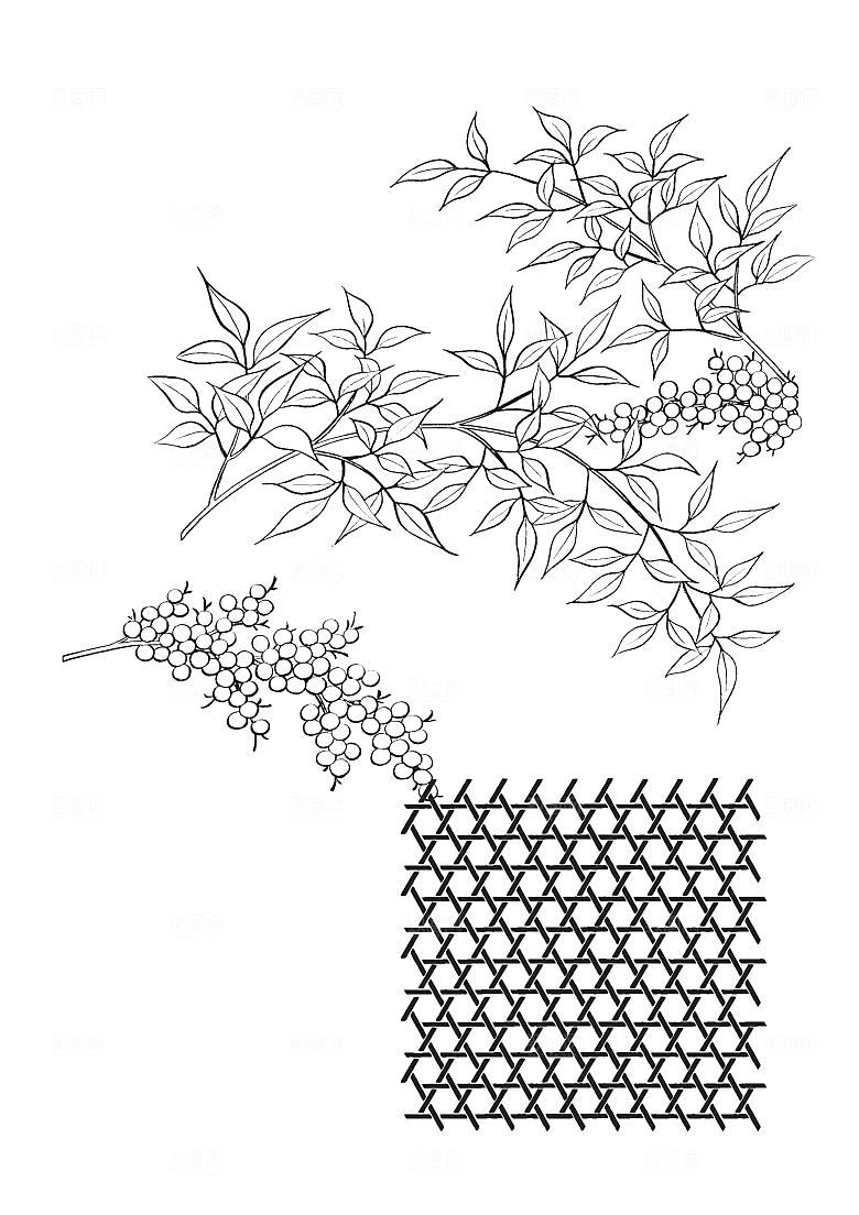 矢量线条花朵日系花卉