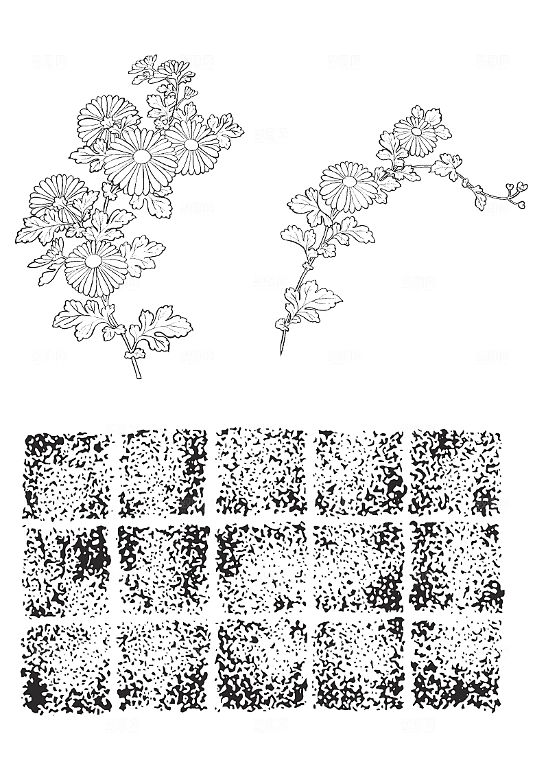 矢量线条花朵日系花卉