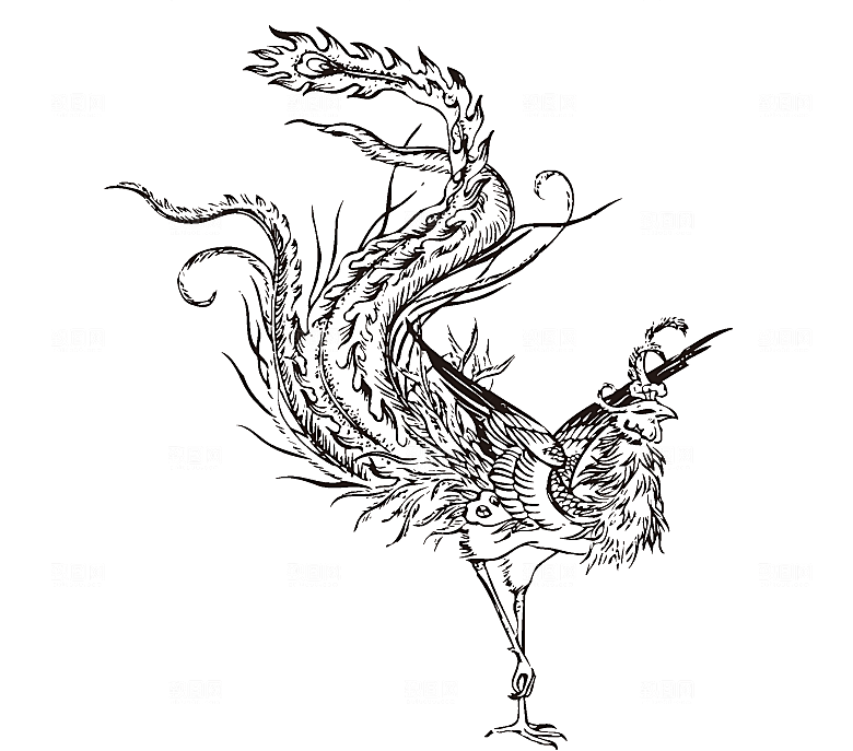 矢量凤凰手绘凤舞