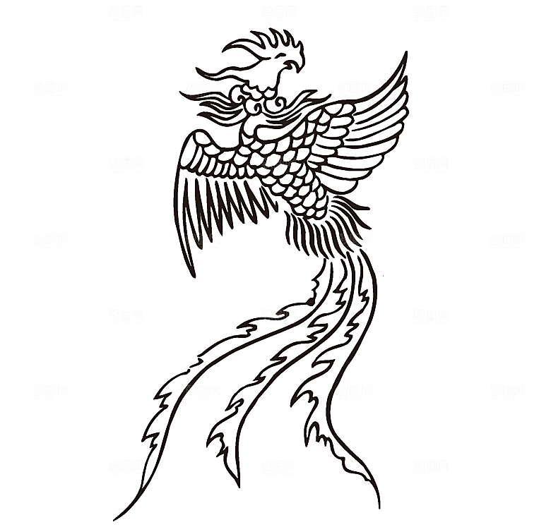矢量凤凰手绘凤舞