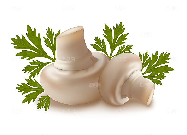 矢量番茄蔬菜香菇茄子素材