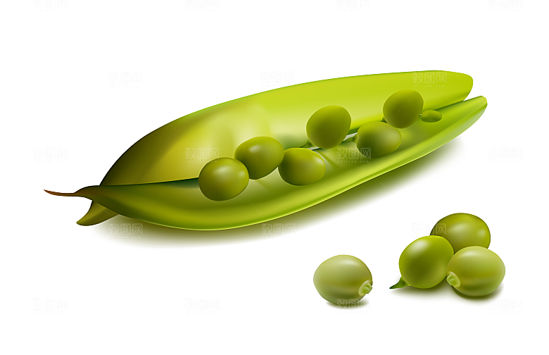 矢量番茄蔬菜香菇茄子素材