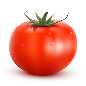 矢量番茄蔬菜香菇茄子素材
