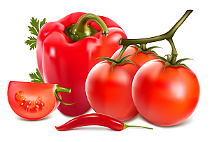 矢量番茄蔬菜香菇茄子素材
