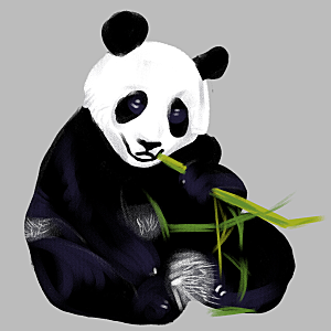 手绘卡通大熊猫插画