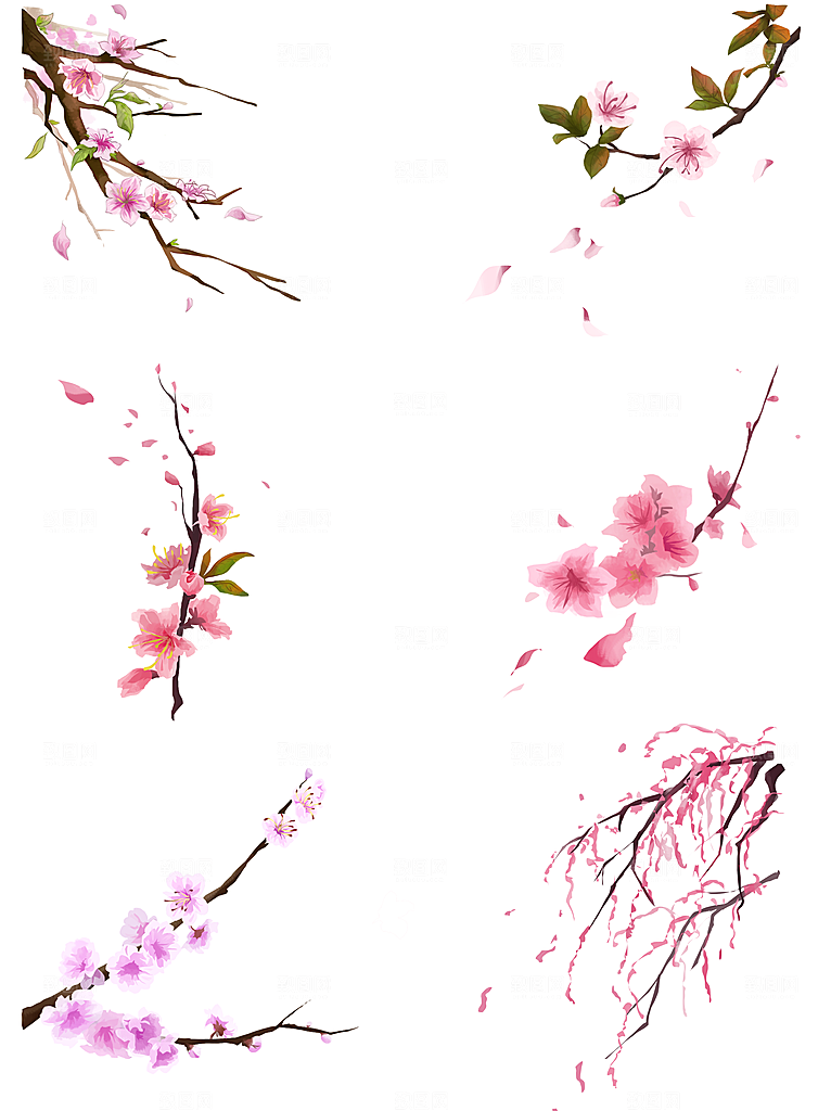 手绘免抠桃花元素