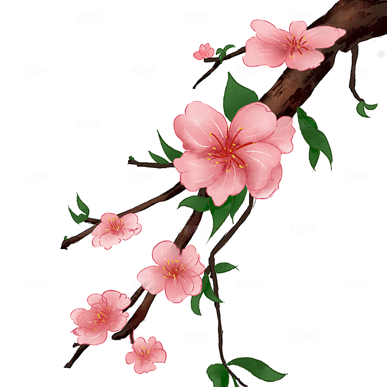 手绘免抠桃花元素